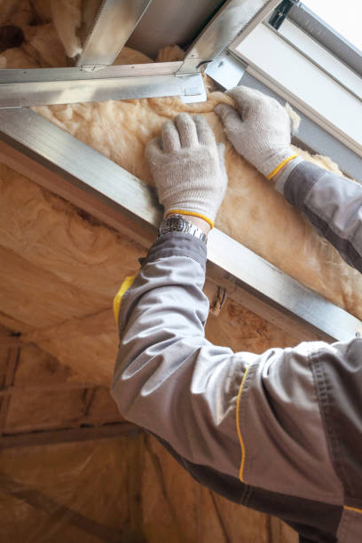 Best Commercial Insulation in Mamou, LA